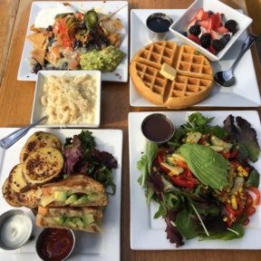 Gluten free meal of salads, sandwiches, and more from Venice Ale House