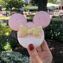 Macaron from Jolly Holiday Bakery Cafe in Disneyland