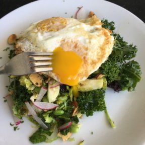 Gluten-free kale salad with egg from Bruhaus