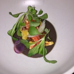 Gluten-free lobster salad from Cosme