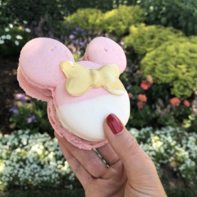 Macaron from Disneyland in Anaheim