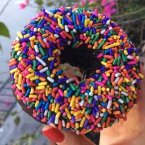 Gluten-free chocolate donut with sprinkles from Fonuts