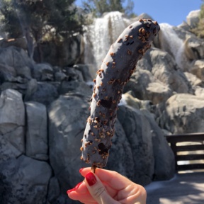 Chocolate covered frozen banana from Disneyland