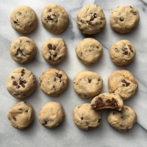 Gluten-free, Paleo, Egg Free Chocolate Chip Cookies