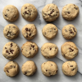 Paleo & Egg Free Chocolate Chip Cookies