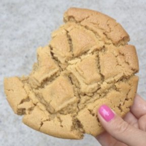 Gluten-free peanut butter cookie from Terri