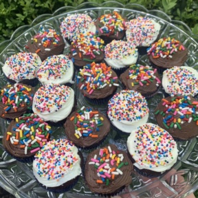 Gluten-free mini chocolate cupcakes with rainbow sprinkles