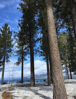 The pretty scenery at Lake Tahoe