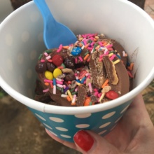 Gluten-free frozen yogurt from Jus Chillin