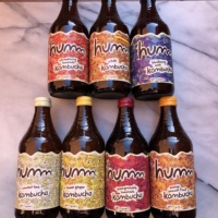 Gluten-free kombucha by Humm Kombucha