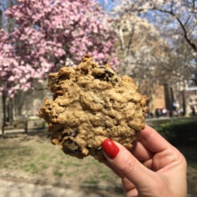 Gluten-free breakfast cookie at The Bakeshop on 20th
