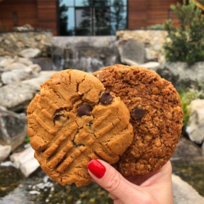 Gluten-free vegan cookies at 1440 Multiversity