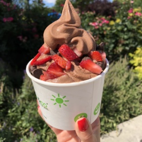 Gluten-free froyo from fresh & co