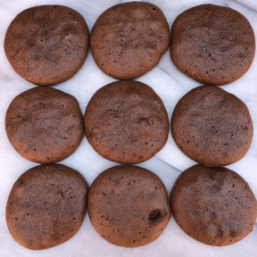 Gluten-free Chocolate Peanut Butter Protein Cookies