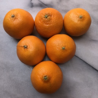 Mandarins from Sunrays Citrus