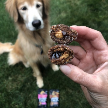 Odie with Gluten-free PB&J and choc hazelnut frooze balls