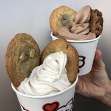 Gluten-free frozen yogurt and cookies from Zooies