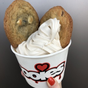 Frozen yogurt with cookies from Zooies