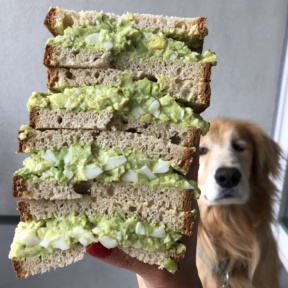 Odie wants the Avocado Egg Salad Sandwich too!