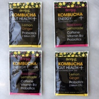 Packets by Theory of Kombucha