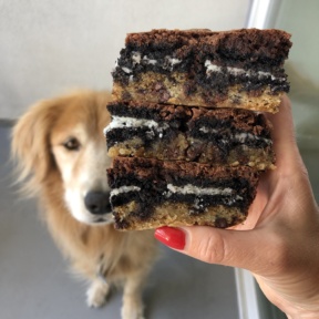 Odie and my Chocolate Creme Cookie Stuffed Brookies