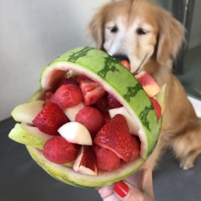 Paleo Watermelon Fruit Basket