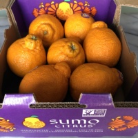 Package of Sumo Citrus