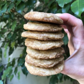 Stack of gluten-free Snickerdoodle Cookies