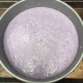 Gluten-free Blueberry Cheesecake ready to go in the oven