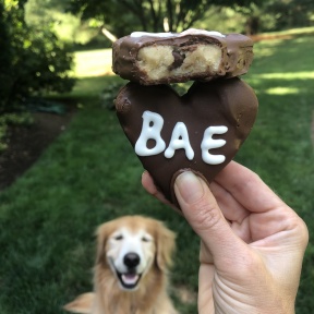 Odie and Chocolate Covered Cookie Dough Hearts