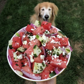 Odie with gluten-free Watermelon Cucumber Feta Salad