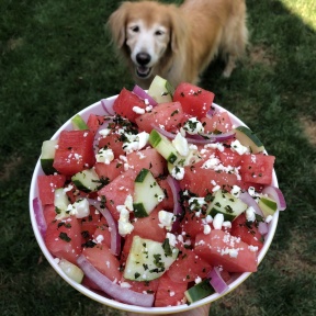 Odie with my Watermelon Cucumber Feta Salad