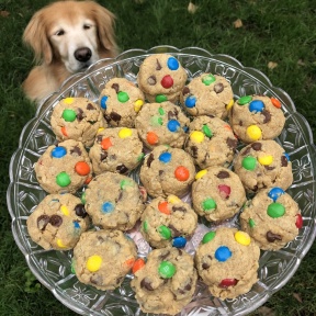 Odie and gluten-free Monster Cookies
