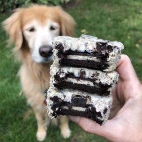 Odie wants some Mini Creme Cookie Cheesecakes