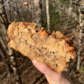 Slice of Apple Walnut Loaf