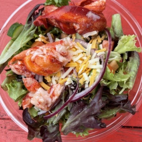 Gluten-free lobster salad from Lobster Cooker