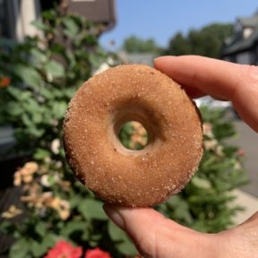 The best Apple Cider Donuts