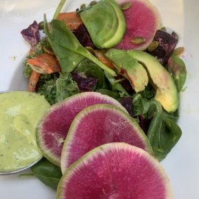 Gluten-free salad from Moondog Cafe
