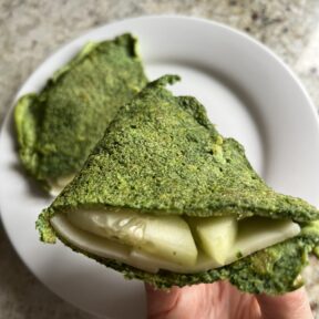 Gluten-free Two Ingredient Spinach Tortillas