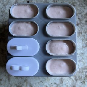 Healthy Yogurt Popsicles ready for the freezer